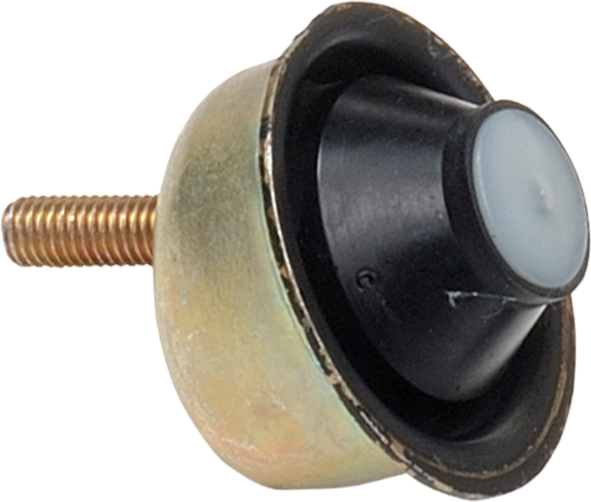 R55161