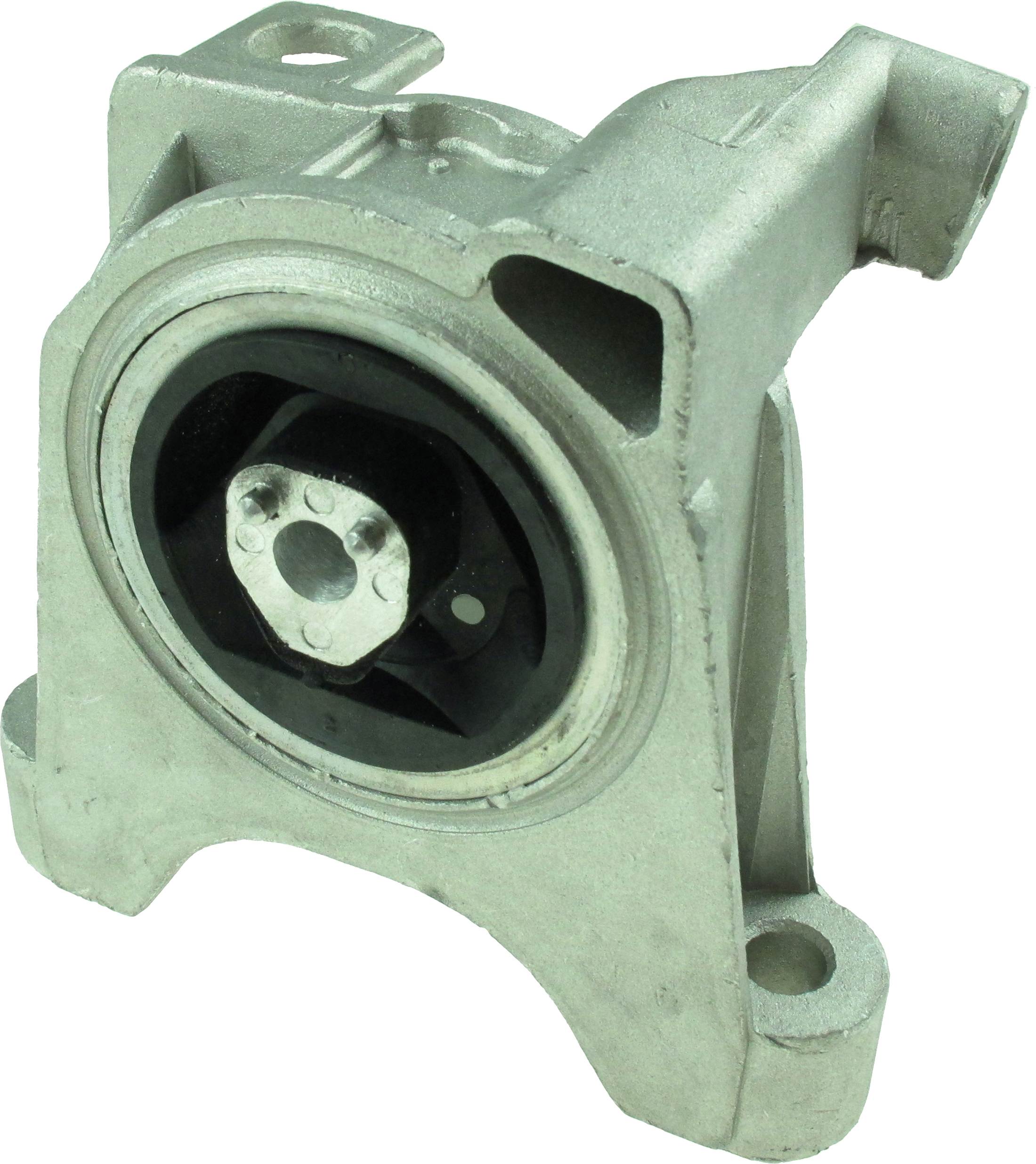 R59561