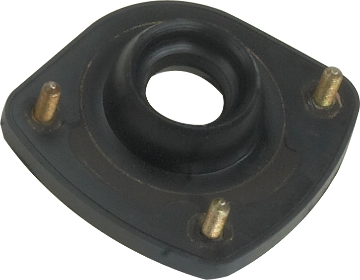 R50111