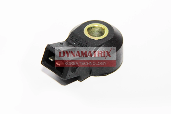 DS011