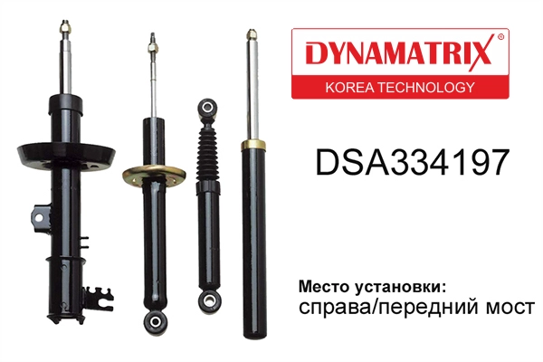 DSA334197