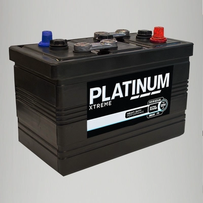 PLATINUM 541X