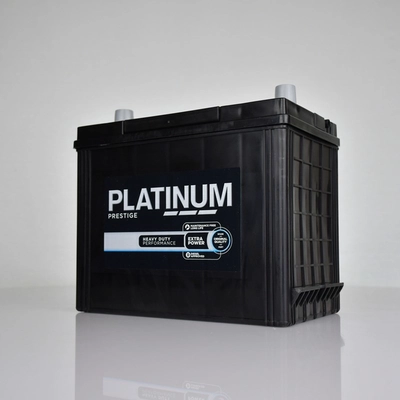 PLATINUM 038E