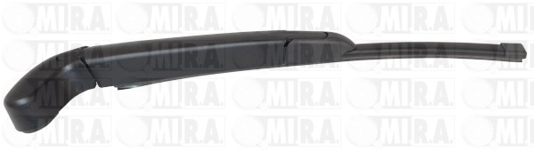 T4A6077