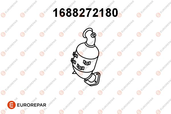 55579745