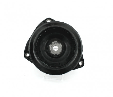 R489T02