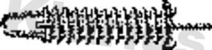 GEX7683