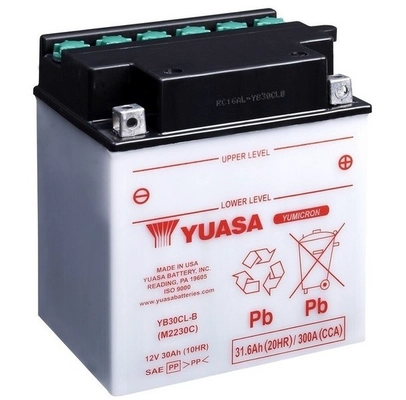 YUASA YB30CL-B