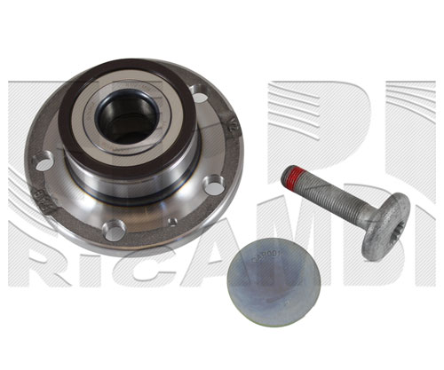 RC1100