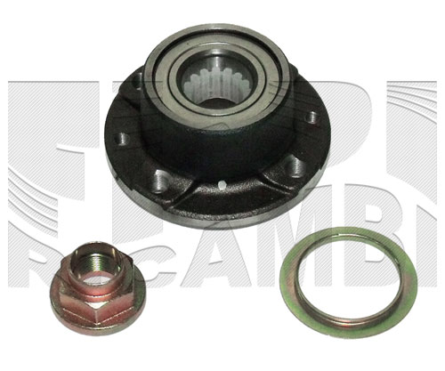 RA9029