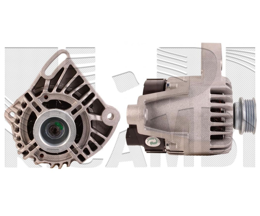 AMM211A