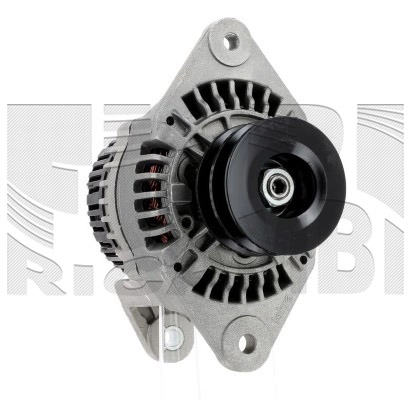 ANK605