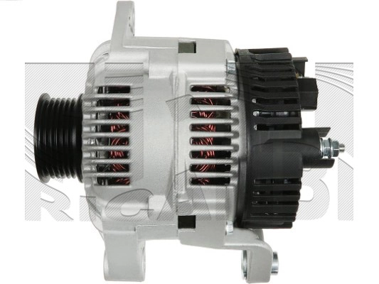 ALT17224