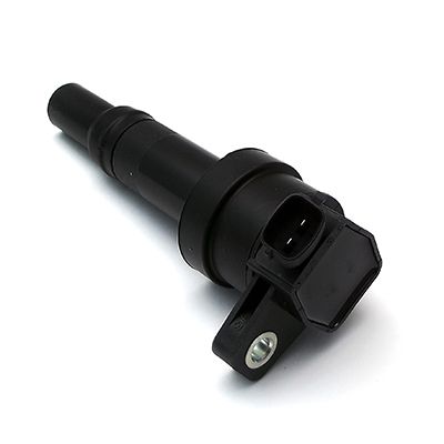 L530412A2