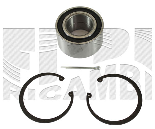 RA4419H