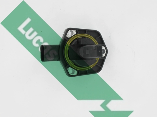 LLS304