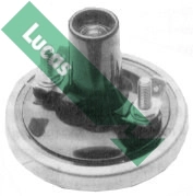DLB237