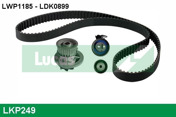LKP249