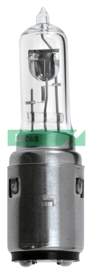 LLB1052