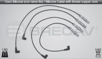 30905409C