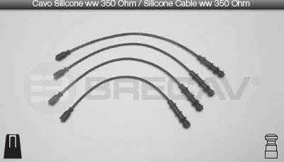 49502