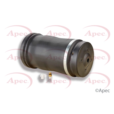 AAS1006