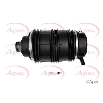 AAS1055