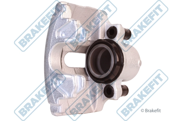 BCA1019