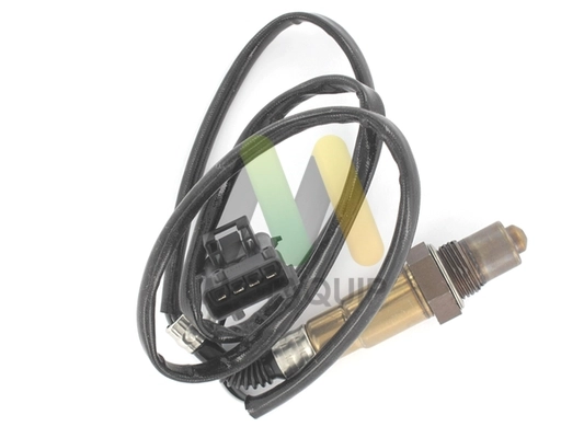 LVOS1704