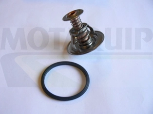 VTK113