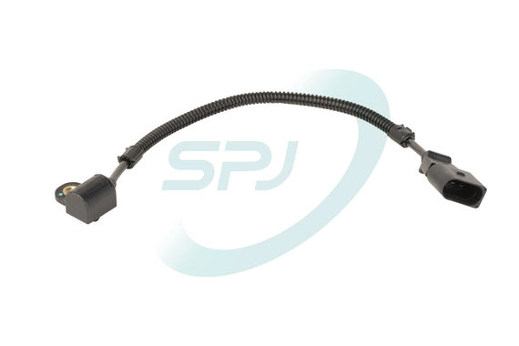 2SL1006