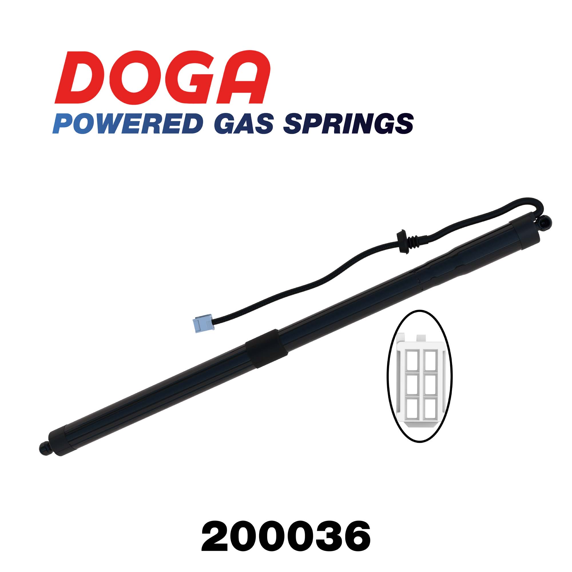 200036