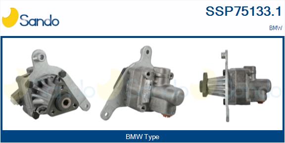 SSP75133.1