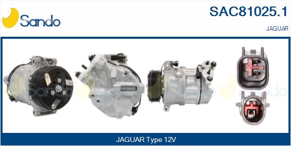 SAC81025.1