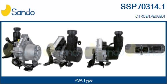 SSP70314.1