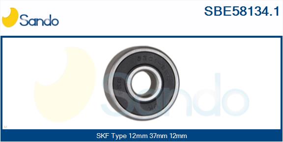 SBE58134.1