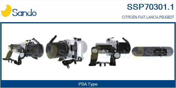 SSP70301.1