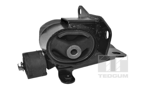 TED49093