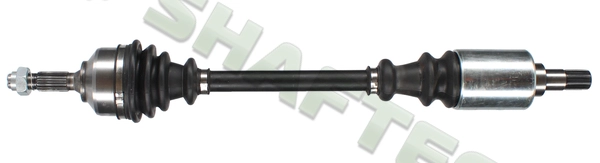P219L