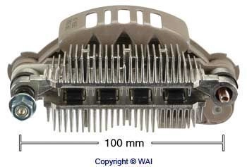 IMR10081