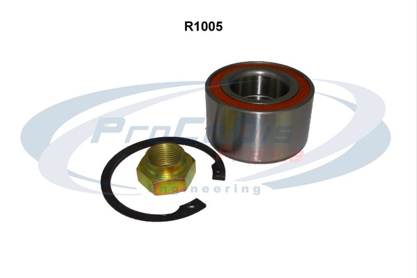 R1005
