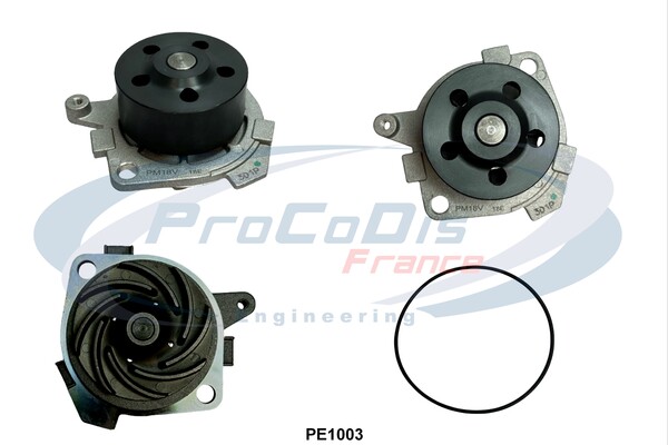 PE1003