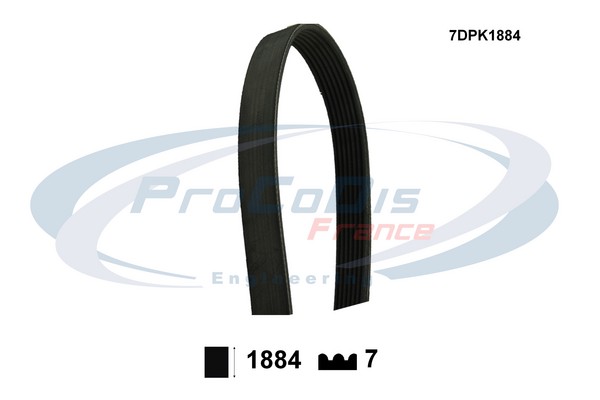 7DPK1884