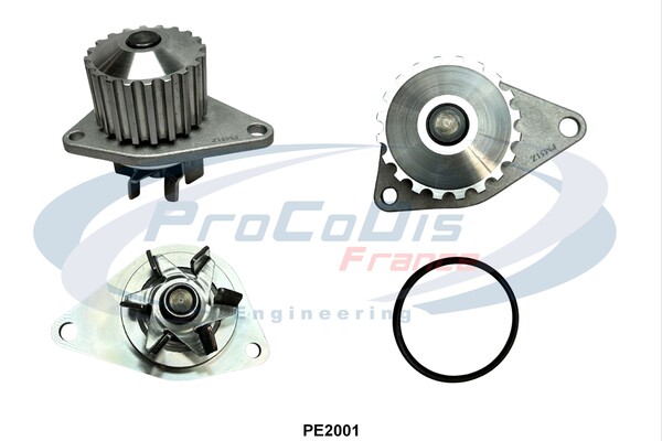 PE2001