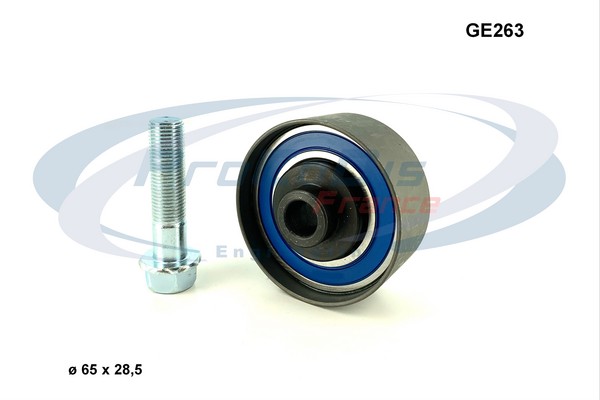 GE263