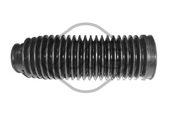 36020094