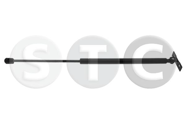 T446504