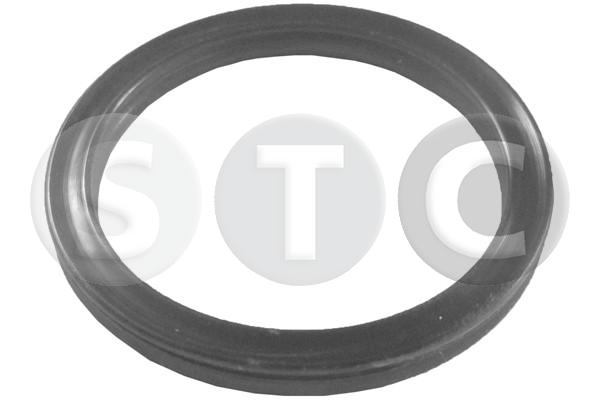 T402113