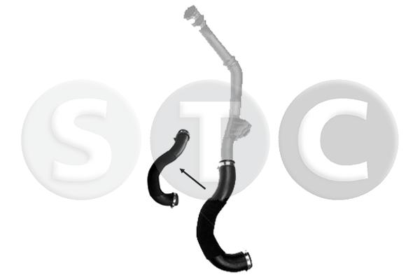 T479038