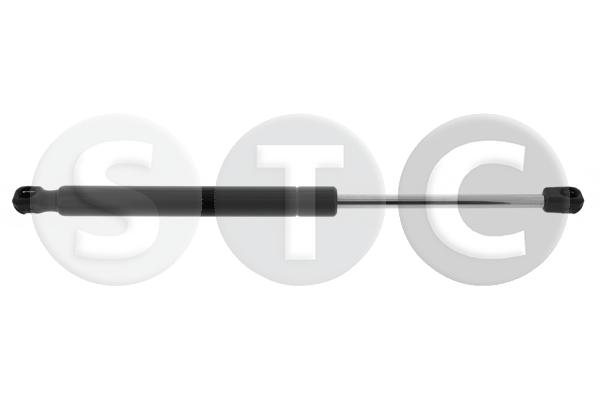T446319
